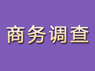 姚安商务调查